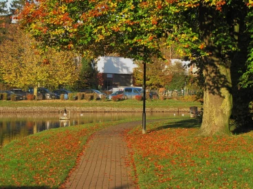 Martel novembre2021   (56)