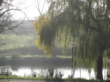 Martel novembre2019   (4)