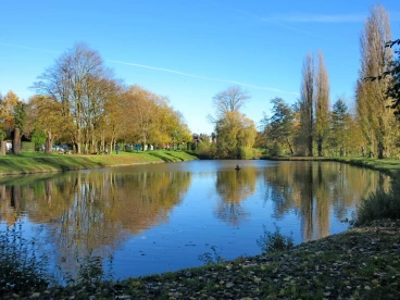 Martel novembre2020   (13)