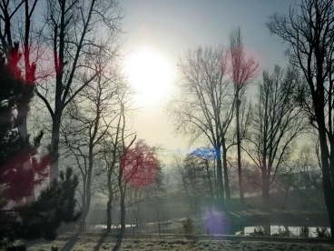 Martel novembre2019   (10)