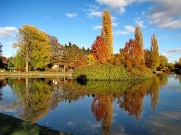 Martel novembre2018   (16)