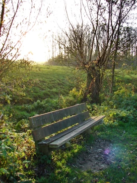 Martel novembre2021   (86)