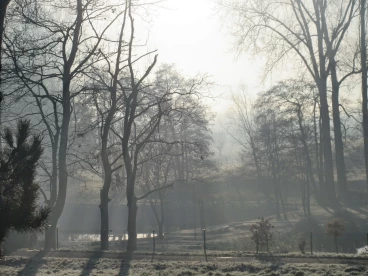 Martel novembre2019   (8)