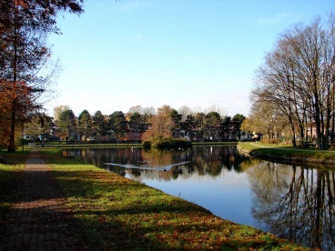 Martel novembre2020   (32)