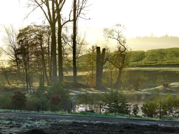 Martel novembre2020   (24)