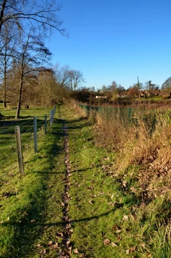 Martel novembre2016   (3)