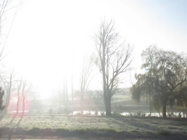 Martel novembre2019   (6)