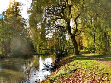 Martel novembre2018   (2)