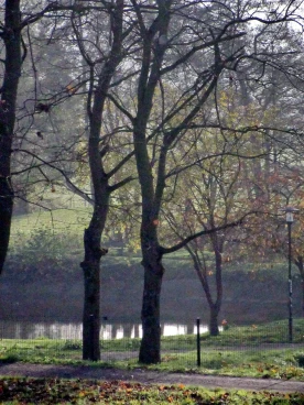 Martel novembre2019   (2)