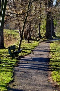 Martel novembre2016   (7)