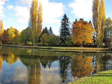 Martel novembre2018   (18)