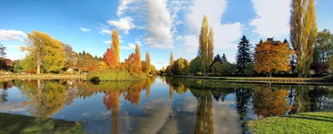 Martel novembre2018   (16) stitch