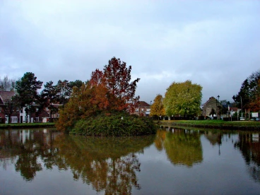 Martel novembre2021   (26)