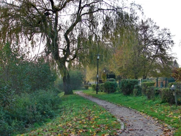 Martel novembre2021   (80)