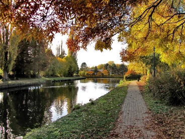 Martel novembre2018   (10)