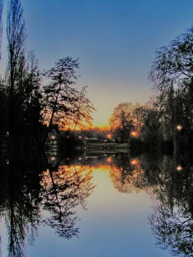 Martel novembre2020   (2) bis