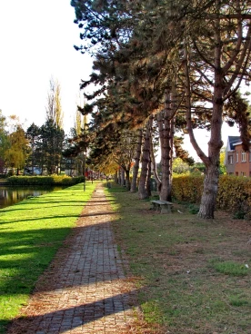 Martel novembre2018   (15)