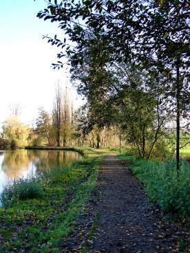 Martel novembre2020   (35)