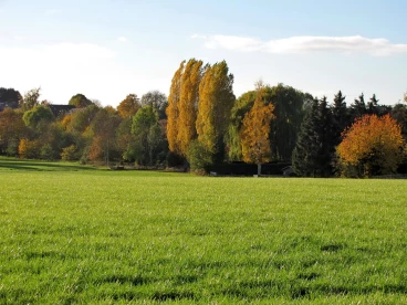 Martel novembre2018   (20)