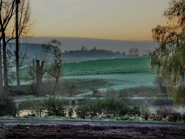 Martel novembre2020   (19) stitch