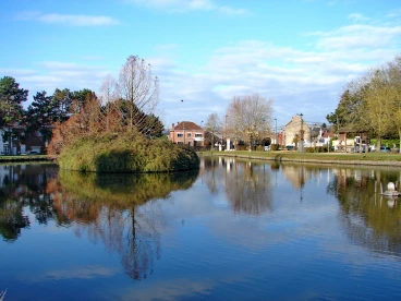 Martel novembre2020   (29)