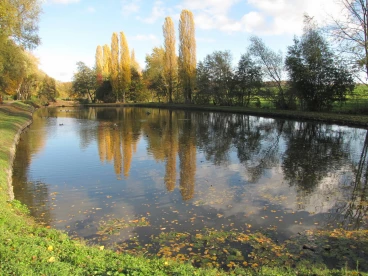 Martel novembre2018   (7)