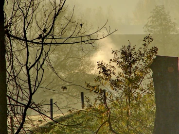 Martel novembre2020   (25)