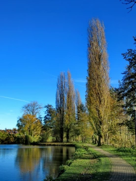 Martel novembre2020   (14)