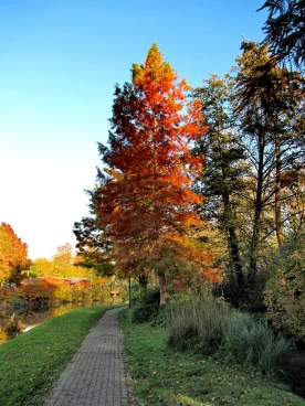 Martel novembre2021   (64)