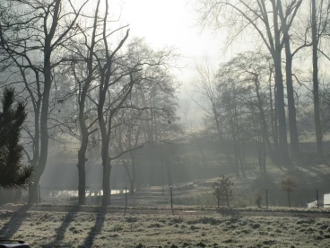 Martel novembre2019   (7)