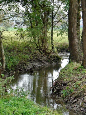 Martel novembre2021   (33)