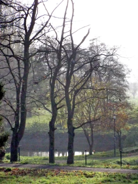 Martel novembre2019   (3)