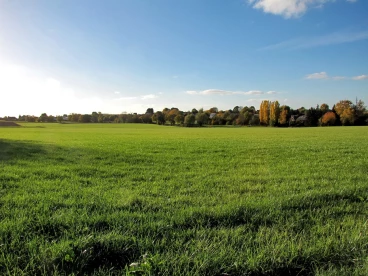 Martel novembre2018   (19)