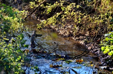 Martel novembre2016   (6)