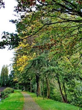 Martel octobre2019   (5)