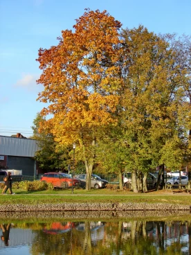 Martel octobre2021  (25)