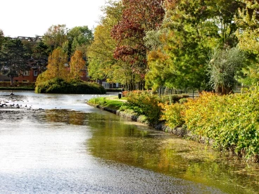 Martel octobre2020   (12)