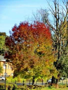 Martel octobre2019 (23)