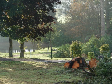 Martel octobre2020   (3)