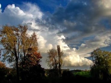 Martel octobre2022  (7)