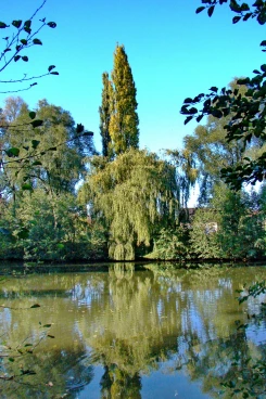 Martel octobre2007   (3)