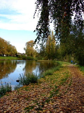 Martel octobre2020   (32)