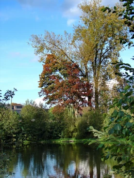 Martel octobre2022  (11)