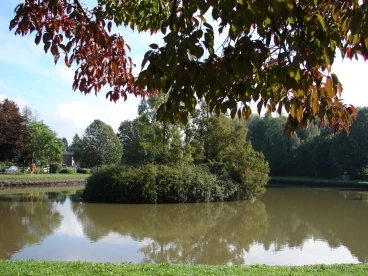 Martel octobre2021  (4)