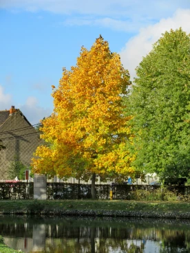 Martel octobre2019   (14)