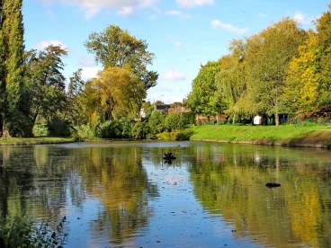 Martel octobre2020   (13)