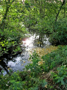 Martel octobre2013   (7)