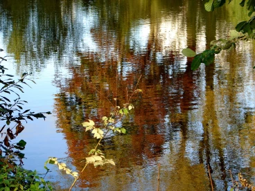 Martel octobre2022  (13)