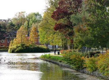 Martel octobre2020   (11)