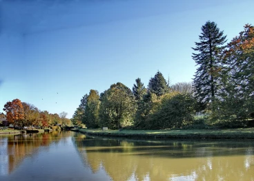 Martel octobre2021  (45) stitch